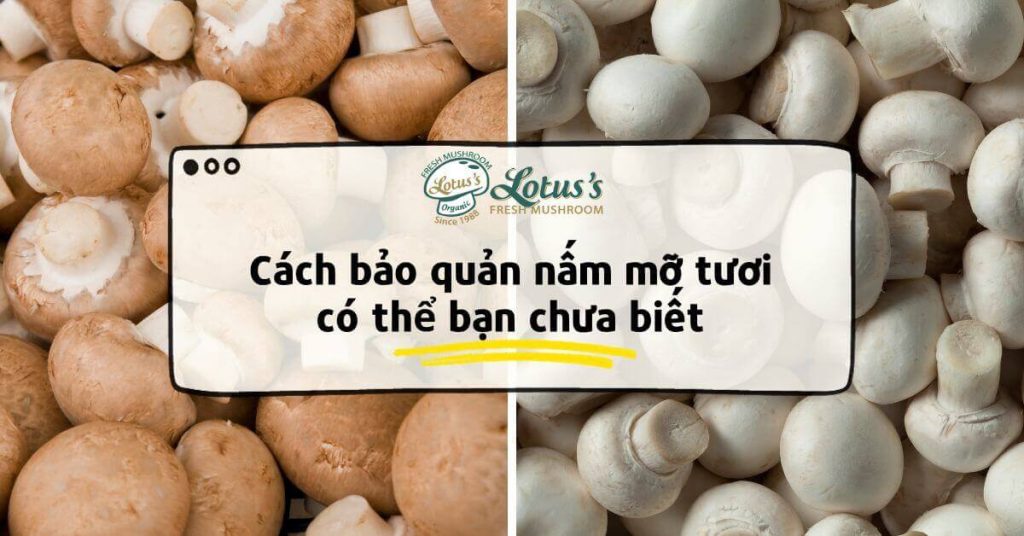 Cách bảo quản nấm mỡ tươi có thể bạn chưa biết