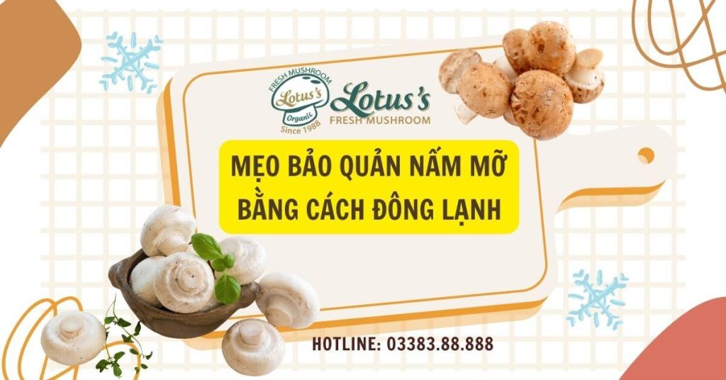 Mẹo bảo quản nấm mỡ bằng cách đông lạnh