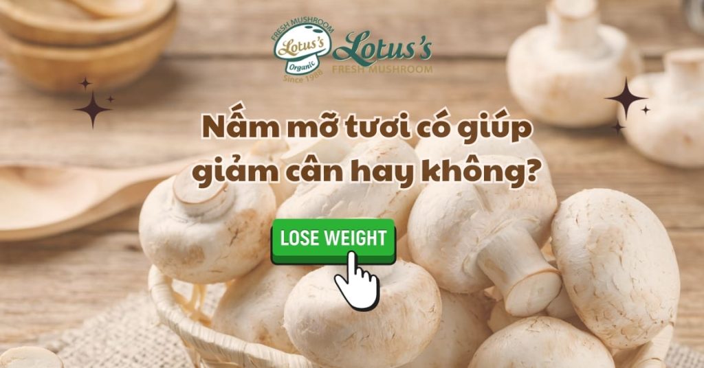 Nấm mỡ tươi có giúp giảm cân hay không?