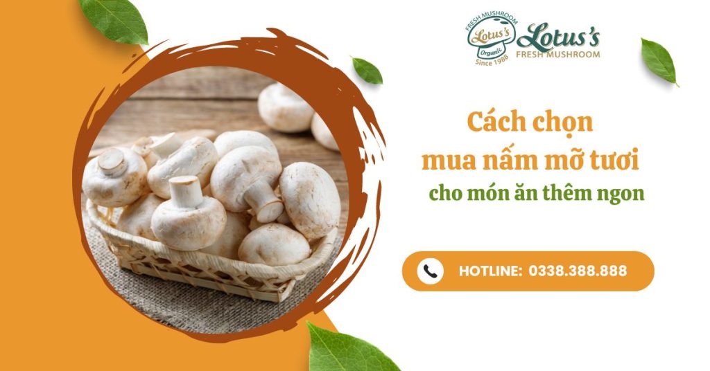 Cách chọn mua nấm mỡ tươi cho món ăn thêm ngon