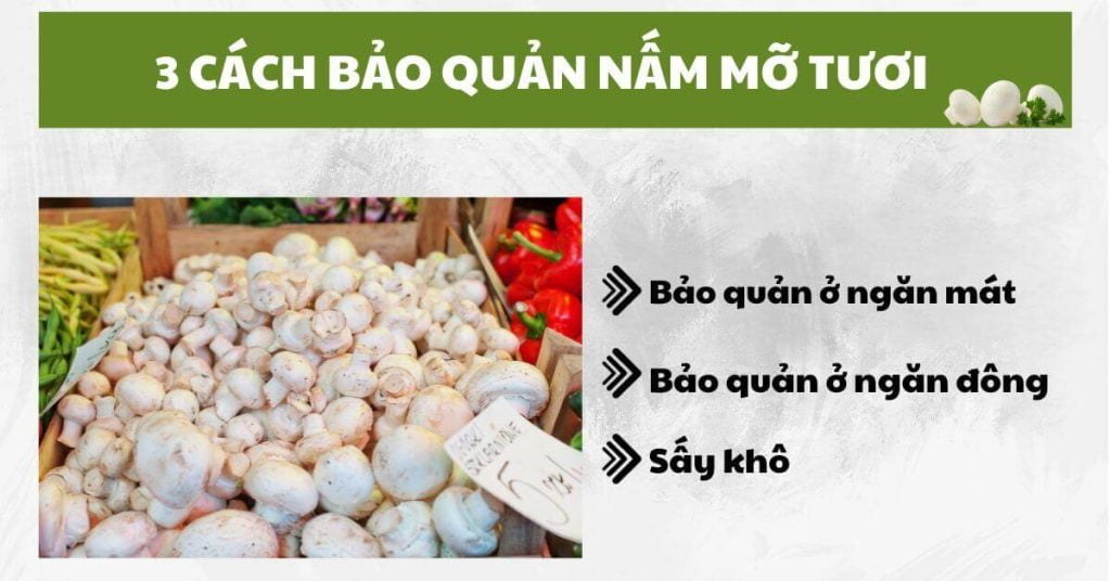 3 cách bảo quản nấm mỡ tươi