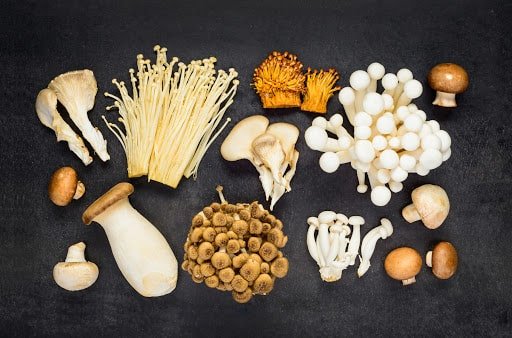 Lợi ích quý giá từ các loại nấm đối với trẻ nhỏ