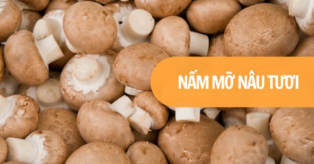 Nấm mỡ nâu tươi